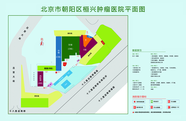 操逼黄文视频免费看北京市朝阳区桓兴肿瘤医院平面图